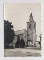 VINK - Deinze - St Bartolomeuskerk - Belgique - Deinze