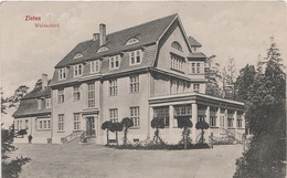 Delcampe - AK Zinten Kornewo Корнево Gasthof Waldschloß Hermsdorf Preußisch Eylau Heiligenbeil Kaliningrad Калинингра́д Königsberg - Ostpreussen