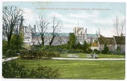 PETERBOROUGH CATHEDRAL FROM GARDENS - Altri & Non Classificati