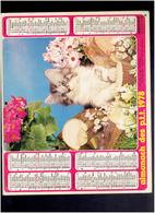 CALENDRIER 1978 CHIEN CHAT ALMANACH DES P.T.T. - Big : 1971-80