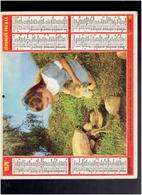 CALENDRIER 1978 FILLETTE CANARD CHAVAUX ALMANACH DES P.T.T. - Big : 1971-80