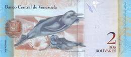 2 Bolivares Venezuela  2013 UNC - Venezuela