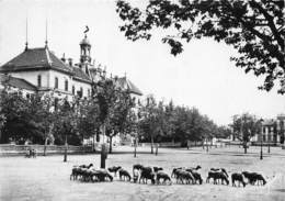 05-GAP-PLACE DE VERDUN ET LE LYCEE - Gap