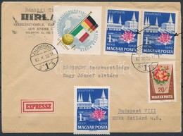 1959 Balaton 1Ft Pár A Rózsaszín Szín Jelentős Elcsúszásával, Levélen + Támpéldány - Other & Unclassified