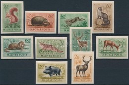 ** 1953 Erdei állatok Vágott Sor (15.000) - Andere & Zonder Classificatie