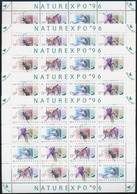 ** 1996 NATUREXPO 5 Db Teljes ív (12.500) - Other & Unclassified