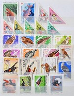 ** O Madarak Motívum Kb 390 Db Bélyeg és 6 Kubai FDC Közepes Berakóban / Birds Collection Ca. 390 Stamps And 6 Cuban FDC - Other & Unclassified