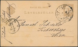 1886 2kr Díjjegyes Levelezőlap NAGY(KANIZS)A - BÉCS Vasúti Bélyegzéssel - Autres & Non Classés