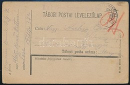 1917 Tábori Postai Levelezőlap ,,K.u.k. Alpines Detachement  Rittm. Sore' + ,,FP 372' - Sonstige & Ohne Zuordnung