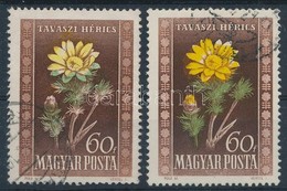 O 1950 Virág 60f 2 Db Bélyeg Eltolódott Színnyomatokkal - Sonstige & Ohne Zuordnung