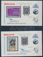 ** 1975 100 éves Az UPU 2 Db Blokk Mi 53, 55 - Andere & Zonder Classificatie