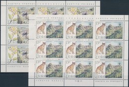 ** 1981 Állatok Kisívsor,
Animals Mini Sheet Set
Mi 1908-1909 - Other & Unclassified