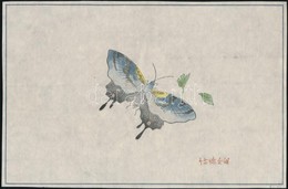 Cca 1920 Pillangó, Kínai Színes Fametszet, Rizspapír, Jelzett A Dúcon, 21×13,5 Cm - Prints & Engravings
