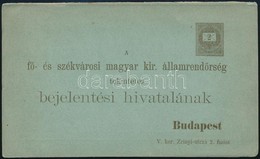 Cca 1890 Rendőrségi Kijelentési Lap, Díjjeggyel, Használatlan, Hajtásnál Szakadt - Non Classificati