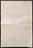 1919 A Közoktatásügyi Népbiztosság Kinevezése Tanítóvá - Sin Clasificación