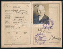 1928 Csehszlovák útlevél / Czechoslovakian Passport. - Sin Clasificación