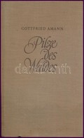 Dr. Gottfried Amann: Pilze Des Waldes. Radebeul-Berlin, én., Neumann. Német Nyelven. Színes Táblákkal. Kiadói Egészvászo - Sin Clasificación