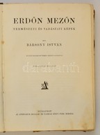 Bársony István: Erdőn-mezőn. Természeti és Vadászati Képek. Spányi Béla, Pataky László, Mesterházy Kálmán Stb. Illusztrá - Ohne Zuordnung