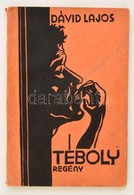Dávid Lajos: Téboly. Bp. - Újpest, 1933, Szivárvány. Papírkötésben, Jó állapotban. - Zonder Classificatie