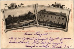 T2/T3 1899 Aszód, Evangélikus Leánynevelő Intézet, Petőfi Gimnázium. Kiadja Wahl Adolf, Schrecker Mihály Fényképész Felv - Sin Clasificación