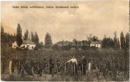 T2/T3 1921 Szikra (Lakitelek), Szász István Szőlőtelepe Kecskemét Mellett. Fantó Fényképész Felvétele (Rb) - Unclassified