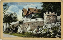 T2/T3 1913 Tata, Tata-Tóváros; Ugron Gábor Villa. Kiadja Lindenberg Adolf (EK) - Unclassified