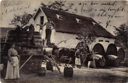 T2/T3 1911 Apatelek, Mokra, Mocrea; Szőlőtelep Pincéje, Szüret Közben Unterstein Péter Kádár Hordójával / Wine Cellar Of - Unclassified