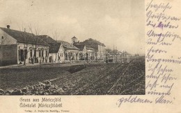 T2 1907 Móricföld, Maureni; Utcakép, üzletek. J. Dajkovits Kiadása / Street View, Shops - Unclassified