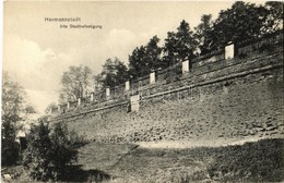 ** T2 1909 Nagyszeben, Hermannstadt, Sibiu; Alte Stadtbefestigung / Régi Városfal. Kiadja Heinrich Meltzer / Old City Wa - Zonder Classificatie