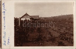 T2/T3 1906 Nagyvárad, Oradea; Bartsch Család Szőlőbeli Ház / Vineyard Villa. Photo - Zonder Classificatie