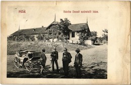 T3 1911 Pele, Becheni; Sántha Dezső Szüretelő Háza, Hintó / Grape Harvesting House, Cart (szakadás / Tear) - Ohne Zuordnung