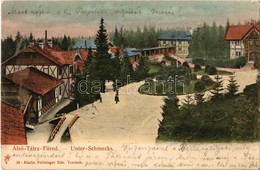 T2 1906 Alsótátrafüred, Tátrafüred, Unter-Schmecks, Dolny Smokovec (Tátra, Magas Tátra, Vysoké Tatry); Utca, Nyaralók. K - Zonder Classificatie