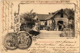 T2/T3 1901 Beregszász, Berehove; Id. Lónyay Sándor Szőlője és Villája, Milleniumi Nagy Érem Kiváló Eredményért. Farkas J - Non Classés