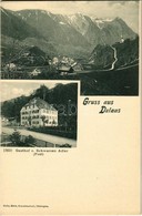 ** T1/T2 Dalaas, Gasthof Z. Schwarzen Adler (Post). Gebr. Metz Kunstanstalt / Inn, Hotel, Post Office - Sin Clasificación