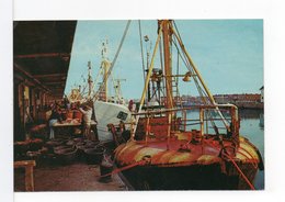 Delcampe - CPM - RETOUR DE LA PÊCHE - Fischerei