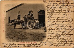 T2/T3 Sicilia, Sicily; Caricatore Di Vino / Wine Barrel Transportation With Horse Cart (EK) - Unclassified