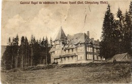 * T4 Sinaia, Castelul Regal De Vanatoare In Poiana Itcani (Jud. Campulung Mold.) / Castle (vágott / Cut) - Unclassified