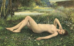 ** T2 Floreal / Erotic Nude Art Postcard S: Raphael Collin - Sin Clasificación