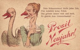 ** T2/T3 New Year, Woman With Goose, Mocking Humour - Non Classés