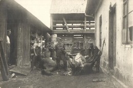 ** T2 Lómészárszék Katonai Táborban, Katonák állattetemekkel A Szerb Offenzíva Alatt / WWI K.u.K. Field Horse Butchery,  - Zonder Classificatie