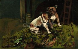 T2 Dogs, Frog, Bee, Humour, Litho - Ohne Zuordnung