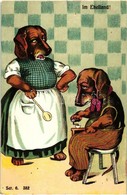 ** T2/T3 Im Ehestand / Marriage, Dachshund Couple, Humour, Litho - Unclassified