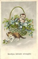 * T2/T3 Name Day, Cats, HH.Co. 6408.  (Rb) - Zonder Classificatie