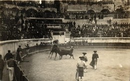 T2 Bullfight Photo - Zonder Classificatie