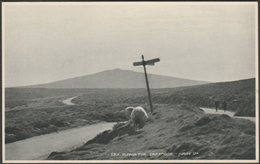 Rippon Tor, Dartmoor, Devon, 1922 - Judges Postcard - Dartmoor