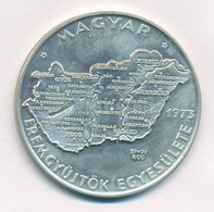 Csúcs Viktória (1934-) 1973. 'MÉE Budapest - Magyarország' Ag Tagsági Emlékérem (25,3g/0.800/42,5mm) T:1
Adamo BP5 - Non Classificati