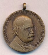 1968. 'Semmelweis Ignácz Fülöp 1818-1865 / Septimana Solemnis' Br Emlékérem Füllel (30,5mm) T:2 - Unclassified