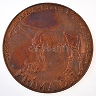 2005- . 'VOSZ Jász-Nagykun-Szolnok Megyei - Príma Díj' Egyoldalas Br Plakett. Szign.: PGB (131mm) T:1- Kis Patina - Sin Clasificación