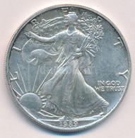 Amerikai Egyesült Államok 1989. 1$ Ag T:1,1- Patina
USA 1989. 1 Dollar Ag C:UNC,AU Patina
Krause KM#273 - Ohne Zuordnung