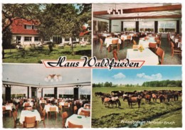 Dülmen - Gasthaus Waldfrieden Am Wildpark - Dülmen